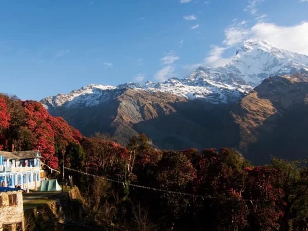 Annapurna Shouth View