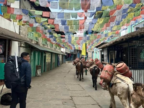Trek To Lukla